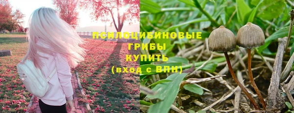 ALPHA PVP Алексин