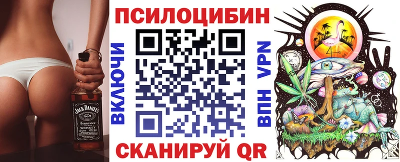 где найти наркотики  Дудинка  Галлюциногенные грибы ЛСД 